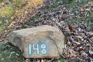 148 Fish Pond Ln, Burnsville, NC 28714 - Photo 7