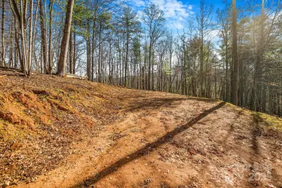 148 Fish Pond Lane, Burnsville, NC 28714 - Photo 5