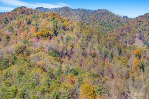 148 Fish Pond Ln, Burnsville, NC 28714 - Photo 11