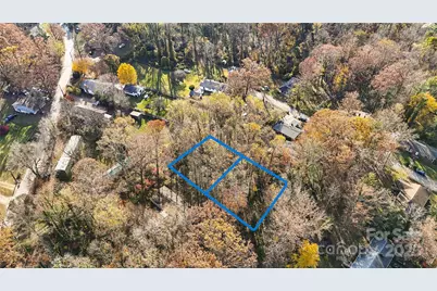 99999 Caribou Road, Asheville, NC 28803 - Photo 3