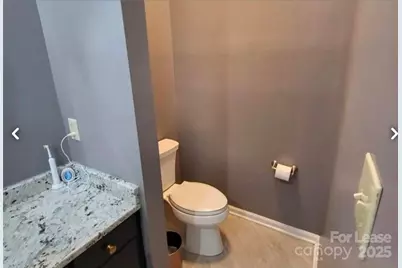 8711 Piccone Brook Lane, Charlotte, NC 28216 - Photo 17