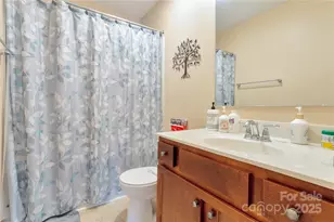 374 Moses Rhyne Dr, Mount Holly, NC 28120 - Photo 17