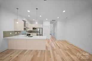 163 Collin Pl, Asheville, NC 28804 - Photo 9