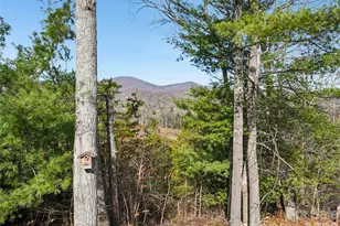 959 Silverglen Wy, Hendersonville, NC 28792 - Photo 39