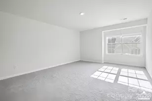 313 Streamwood Rd, Troutman, NC 28166 - Photo 13