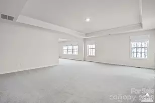 313 Streamwood Rd, Troutman, NC 28166 - Photo 17