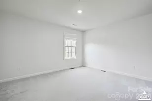 313 Streamwood Rd, Troutman, NC 28166 - Photo 17