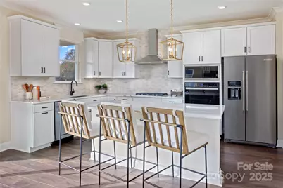 1211 Daniel Pine Drive, Indian Land, SC 29707 - Photo 3