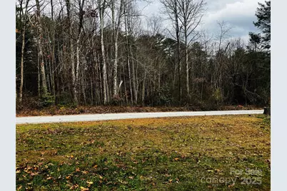 103 Redden Road, Hendersonville, NC 28739 - Photo 43