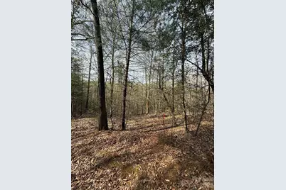 Lot # 5 West Legacy Drive, Hendersonville, NC 28739 - Photo 19