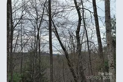 Tbd Casey Mountain Road #218, Purlear, NC 28665 - Photo 11