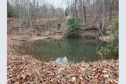 Tbd Casey Mountain Road #218, Purlear, NC 28665 - Photo 21