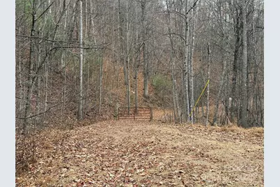 Tbd Casey Mountain Road #218, Purlear, NC 28665 - Photo 3