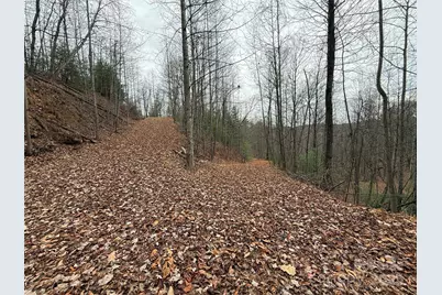 Tbd Casey Mountain Road #218, Purlear, NC 28665 - Photo 5