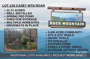 Tbd Casey Mountain Rd, Purlear, NC 28665 - Photo 1