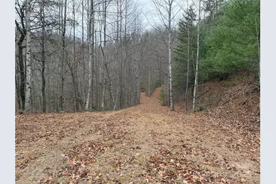 Tbd Casey Mountain Road #218, Purlear, NC 28665 - Photo 19