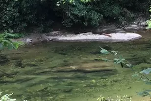 2208 Blue Rock Rd, Burnsville, NC 28714 - Photo 11