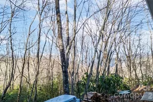 194 Ridgeview Dr, Whittier, NC 28789 - Photo 43