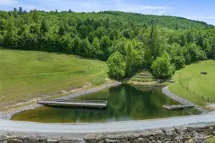 1547 Walnut Cove Rd, Hendersonville, NC 28739 - Photo 37