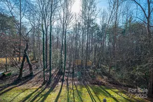 8830 Shepherd Ct, Connelly Springs, NC 28612 - Photo 39