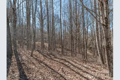 00 Sams Trail #27, Waynesville, NC 28786 - Photo 3