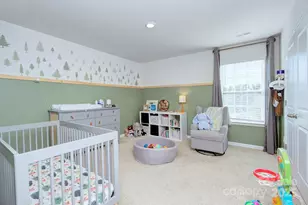 421 Carolina Hemlock Dr, Locust, NC 28097 - Photo 27