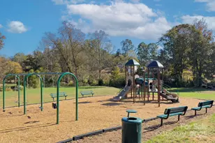 421 Carolina Hemlock Dr, Locust, NC 28097 - Photo 31