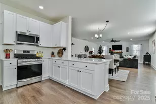 52 N Christie Ct, Fletcher, NC 28732 - Photo 7