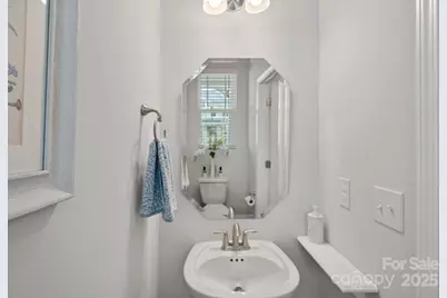 3813 Amalia Place, Fort Mill, SC 29707 - Photo 17