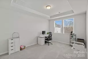 3813 Amalia Pl, Fort Mill, SC 29707 - Photo 13