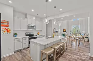 3813 Amalia Pl, Fort Mill, SC 29707 - Photo 5