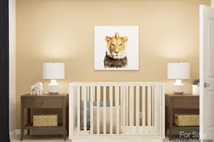 10032 Greystar Ln, Charlotte, NC 28213 - Photo 9