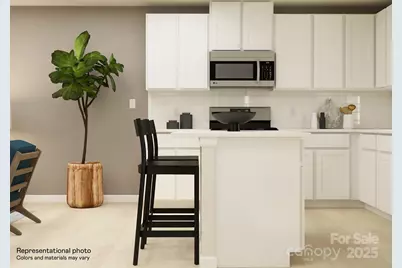 10032 Greystar Lane, Charlotte, NC 28213 - Photo 3