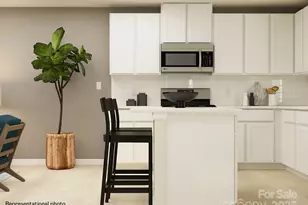 10032 Greystar Ln, Charlotte, NC 28213 - Photo 3