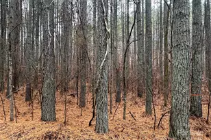 0 Frog Creek Rd, Union Mills, NC 28167 - Photo 1