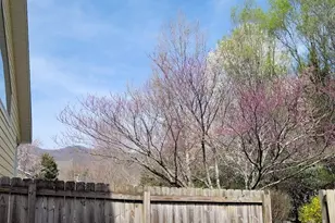 35 Cotton Creek Cir, Black Mountain, NC 28711 - Photo 5
