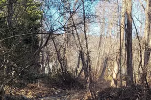 35 Cotton Creek Cir, Black Mountain, NC 28711 - Photo 5