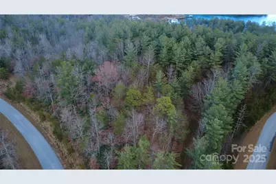 597 Peninsula Reserve Road #34, Nebo, NC 28761 - Photo 23