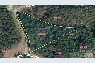 597 Peninsula Reserve Road #34, Nebo, NC 28761 - Photo 11