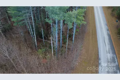 597 Peninsula Reserve Road #34, Nebo, NC 28761 - Photo 9