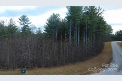 597 Peninsula Reserve Road #34, Nebo, NC 28761 - Photo 1