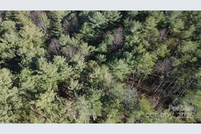 597 Peninsula Reserve Road #34, Nebo, NC 28761 - Photo 15