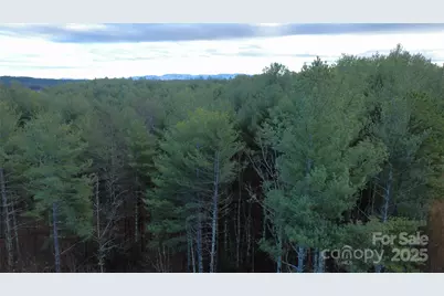 597 Peninsula Reserve Road #34, Nebo, NC 28761 - Photo 7