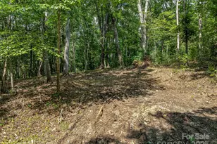 644 Walnut Valley Pkwy, Arden, NC 28704 - Photo 37