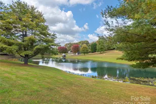 355 Johnson Dr, Canton, NC 28716 - Photo 9