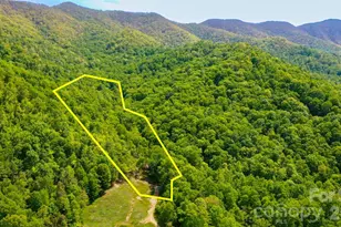 000 Cook Cove Rd, Weaverville, NC 28787 - Photo 21