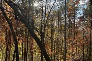 000 Cook Cove Rd, Weaverville, NC 28787 - Photo 33