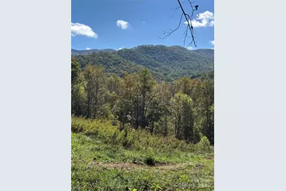 000 Cook Cove Road #2, Weaverville, NC 28787 - Photo 35