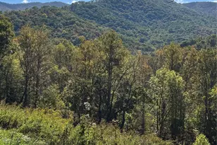 000 Cook Cove Rd, Weaverville, NC 28787 - Photo 35