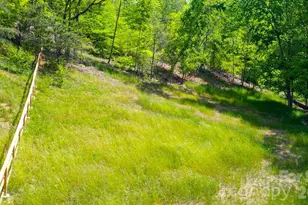 000 Cook Cove Rd, Weaverville, NC 28787 - Photo 23